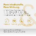 4.webp
