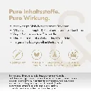 4.webp