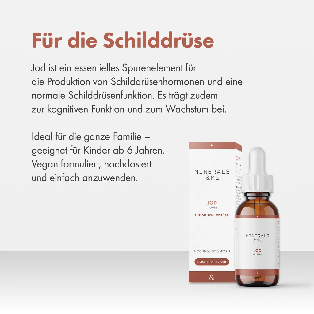 2.webp