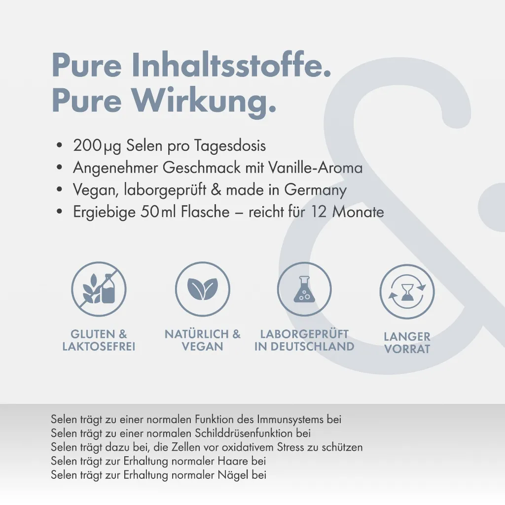 4.webp